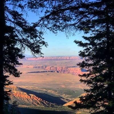 Trevor Donnelly's photo of canyon