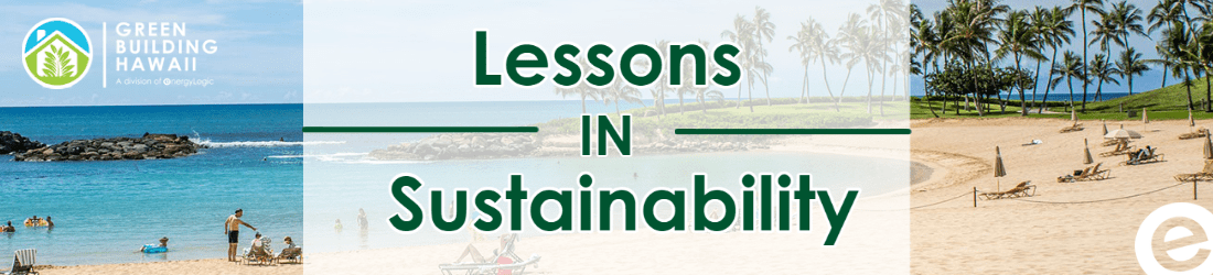 Tourism’s Impact on Sustainability in Hawaii, Lessons in Sustainability