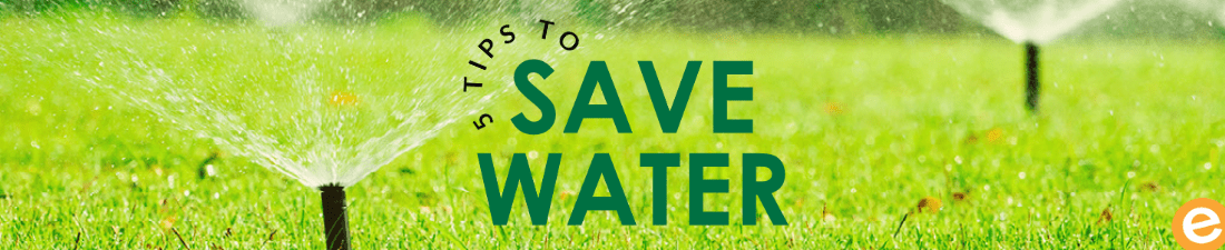 5 Tips to Save Water