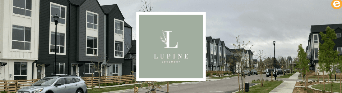 Lupine at Longmont
